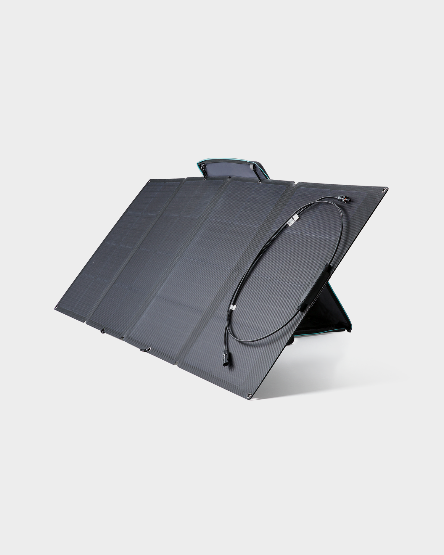 EcoFlow 160W Solar Panel