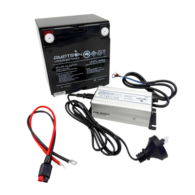 12V 30Ah LiFePO4 Battery Combo Kit with 6A charger and Mini Anderson