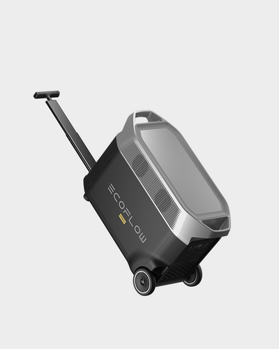 EcoFlow Delta Pro